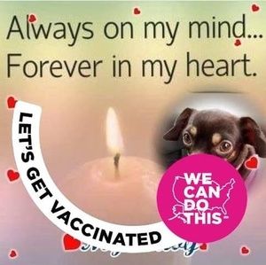 Meet your Posher, Jonathon